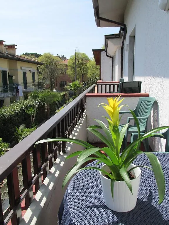Hotel Roby Marina di Massa 3*,